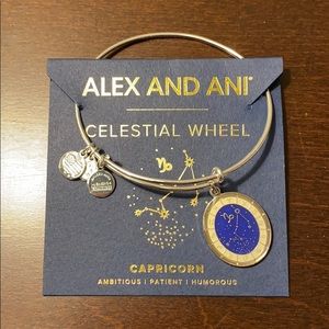 Alex and Ani Celestial Wheel Capricorn